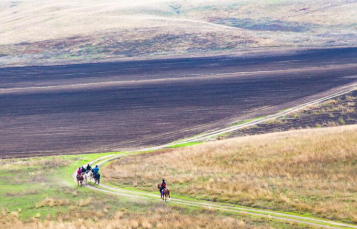 Angebote für Reiten in Georgien