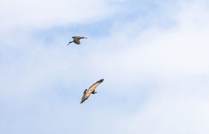 Adler Schlucht - Fotoreise in Waschloawani