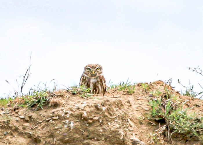 Photo Tour in Vashlovani