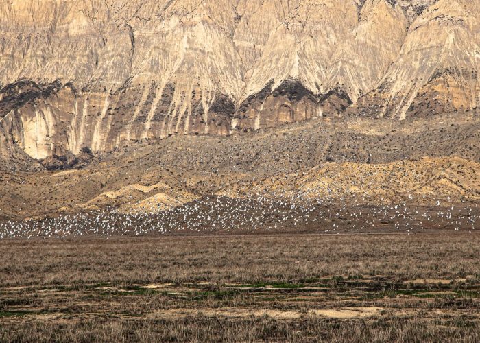 Photo trip in Vashlovani National Park