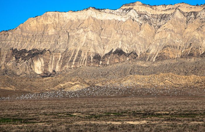 Auf der Samuchi Ebene - Foto Tour in Waschlowani National Park