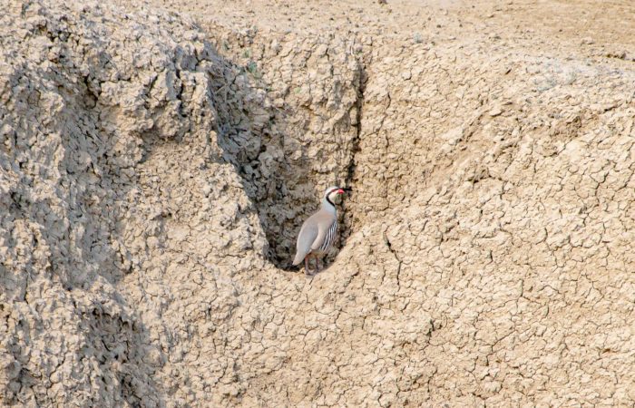 Foto Tour in Waschlowani National Park