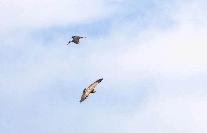 Foto Tour in Waschlowani National Park
