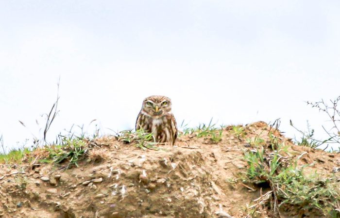 Foto Tour in Waschlowani National Park