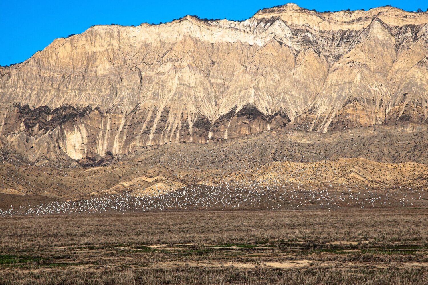 Samukhi Ebene - Fotoreise in Waschlowani