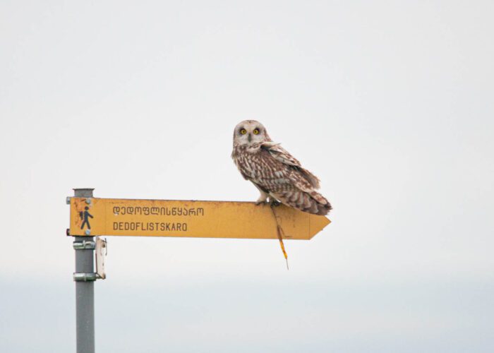 Waschlowani Np - Protected Areas of Georgia