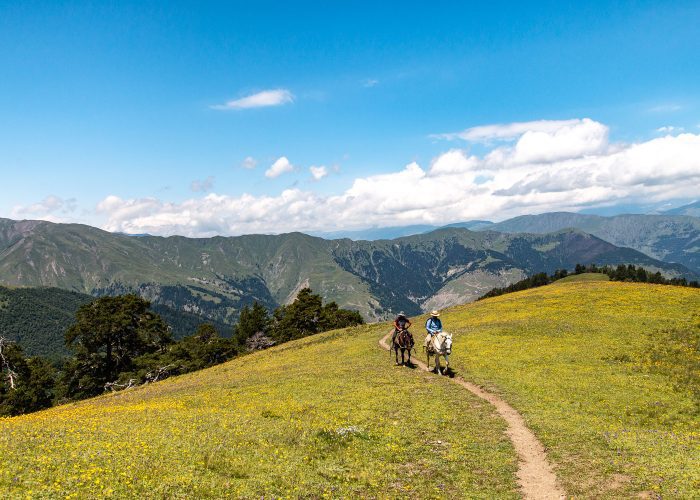 Tuschetien - Beste Reisezeit zum Reiten Georgien