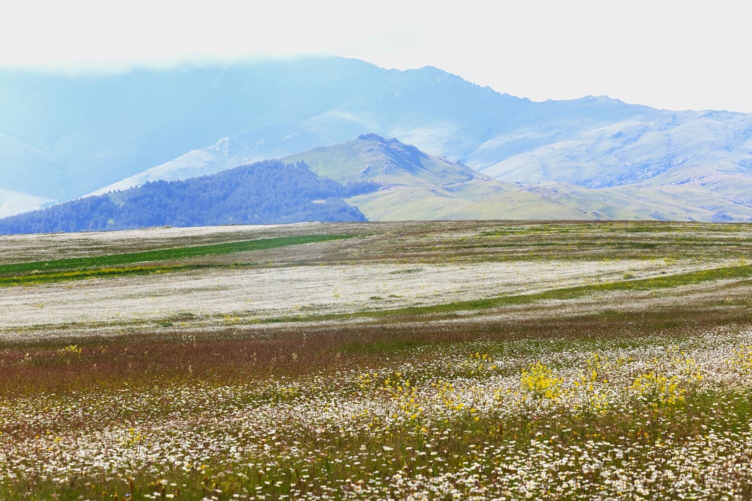 Landschaft in Tsalka