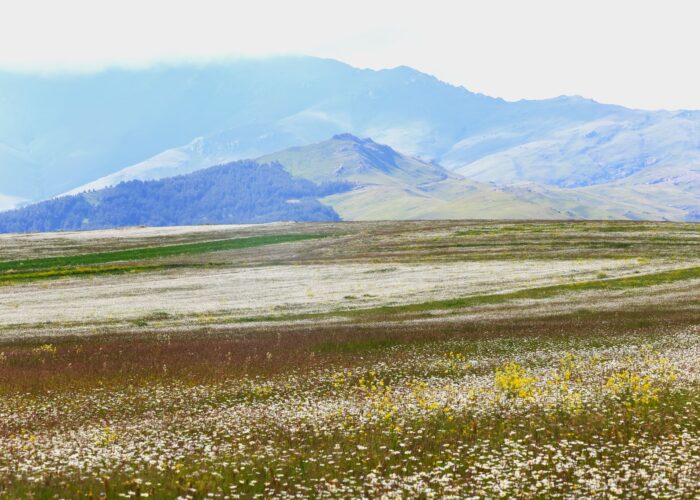Landschaft - Familereise Georgien