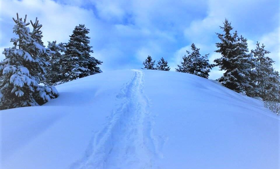 Winter in Bordschomi National Park